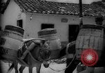 Image of Mules for transportation Caracas Venezuela, 1940, second 57 stock footage video 65675050640