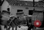 Image of Mules for transportation Caracas Venezuela, 1940, second 58 stock footage video 65675050640