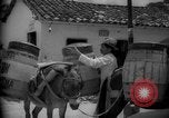 Image of Mules for transportation Caracas Venezuela, 1940, second 59 stock footage video 65675050640