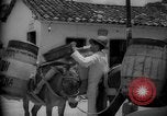 Image of Mules for transportation Caracas Venezuela, 1940, second 60 stock footage video 65675050640