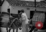 Image of Mules for transportation Caracas Venezuela, 1940, second 61 stock footage video 65675050640