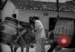 Image of Mules for transportation Caracas Venezuela, 1940, second 62 stock footage video 65675050640