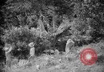 Image of farming operations Caracas Venezuela, 1940, second 25 stock footage video 65675050641