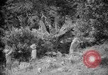 Image of farming operations Caracas Venezuela, 1940, second 26 stock footage video 65675050641