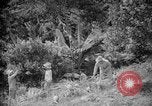 Image of farming operations Caracas Venezuela, 1940, second 27 stock footage video 65675050641