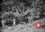 Image of farming operations Caracas Venezuela, 1940, second 28 stock footage video 65675050641