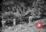 Image of farming operations Caracas Venezuela, 1940, second 31 stock footage video 65675050641