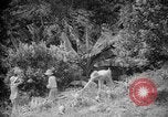 Image of farming operations Caracas Venezuela, 1940, second 33 stock footage video 65675050641