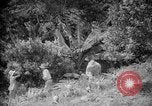 Image of farming operations Caracas Venezuela, 1940, second 34 stock footage video 65675050641