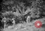Image of farming operations Caracas Venezuela, 1940, second 37 stock footage video 65675050641