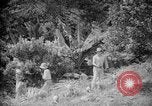 Image of farming operations Caracas Venezuela, 1940, second 40 stock footage video 65675050641