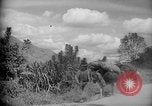 Image of mules Caracas Venezuela, 1940, second 3 stock footage video 65675050642