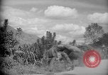 Image of mules Caracas Venezuela, 1940, second 4 stock footage video 65675050642