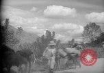 Image of mules Caracas Venezuela, 1940, second 7 stock footage video 65675050642