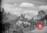 Image of mules Caracas Venezuela, 1940, second 8 stock footage video 65675050642