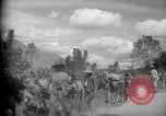 Image of mules Caracas Venezuela, 1940, second 9 stock footage video 65675050642