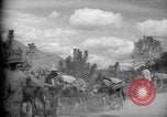 Image of mules Caracas Venezuela, 1940, second 11 stock footage video 65675050642