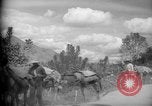 Image of mules Caracas Venezuela, 1940, second 12 stock footage video 65675050642