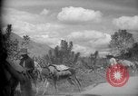 Image of mules Caracas Venezuela, 1940, second 13 stock footage video 65675050642