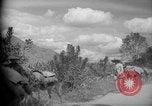 Image of mules Caracas Venezuela, 1940, second 14 stock footage video 65675050642
