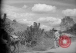 Image of mules Caracas Venezuela, 1940, second 15 stock footage video 65675050642