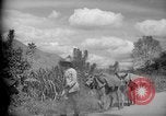 Image of mules Caracas Venezuela, 1940, second 18 stock footage video 65675050642