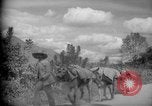 Image of mules Caracas Venezuela, 1940, second 19 stock footage video 65675050642