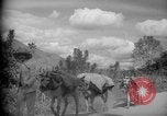 Image of mules Caracas Venezuela, 1940, second 20 stock footage video 65675050642
