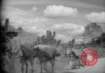 Image of mules Caracas Venezuela, 1940, second 21 stock footage video 65675050642