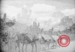 Image of mules Caracas Venezuela, 1940, second 22 stock footage video 65675050642
