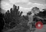 Image of mules Caracas Venezuela, 1940, second 26 stock footage video 65675050642
