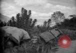 Image of mules Caracas Venezuela, 1940, second 32 stock footage video 65675050642