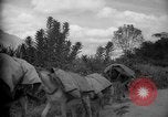 Image of mules Caracas Venezuela, 1940, second 33 stock footage video 65675050642