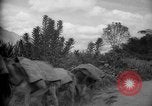 Image of mules Caracas Venezuela, 1940, second 34 stock footage video 65675050642