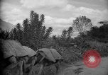 Image of mules Caracas Venezuela, 1940, second 35 stock footage video 65675050642