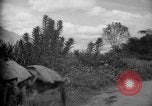 Image of mules Caracas Venezuela, 1940, second 36 stock footage video 65675050642