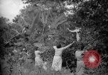 Image of farm Caracas Venezuela, 1940, second 10 stock footage video 65675050643
