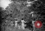 Image of farm Caracas Venezuela, 1940, second 13 stock footage video 65675050643