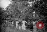 Image of farm Caracas Venezuela, 1940, second 14 stock footage video 65675050643