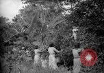 Image of farm Caracas Venezuela, 1940, second 15 stock footage video 65675050643