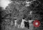 Image of farm Caracas Venezuela, 1940, second 18 stock footage video 65675050643