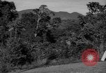 Image of golf Caracas Venezuela, 1940, second 38 stock footage video 65675050645