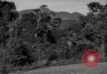 Image of golf Caracas Venezuela, 1940, second 39 stock footage video 65675050645