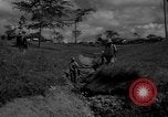 Image of man with container on his back Caracas Venezuela, 1940, second 5 stock footage video 65675050648