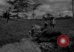 Image of man with container on his back Caracas Venezuela, 1940, second 10 stock footage video 65675050648