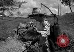 Image of man with container on his back Caracas Venezuela, 1940, second 19 stock footage video 65675050648