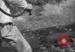 Image of man with container on his back Caracas Venezuela, 1940, second 47 stock footage video 65675050648