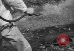 Image of man with container on his back Caracas Venezuela, 1940, second 48 stock footage video 65675050648