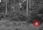 Image of oil drilling in Venezuela Caracas Venezuela, 1940, second 46 stock footage video 65675050649