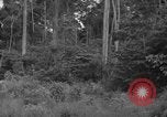 Image of oil drilling in Venezuela Caracas Venezuela, 1940, second 47 stock footage video 65675050649